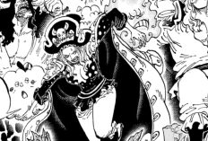 만가 읽기 링크 One Piece 1162화 한국어, 성급하게 행동하지 않는 것이 좋습니다!